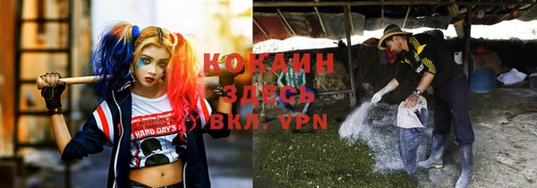 спиды Абаза