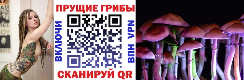 Псилоцибиновые грибы прущие грибы где можно купить Усть-Кут