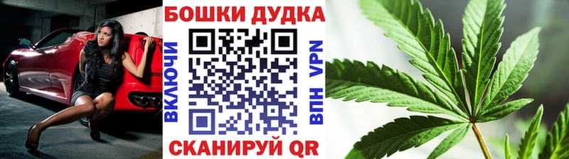 купить  цена  Усть-Кут  Канабис конопля 